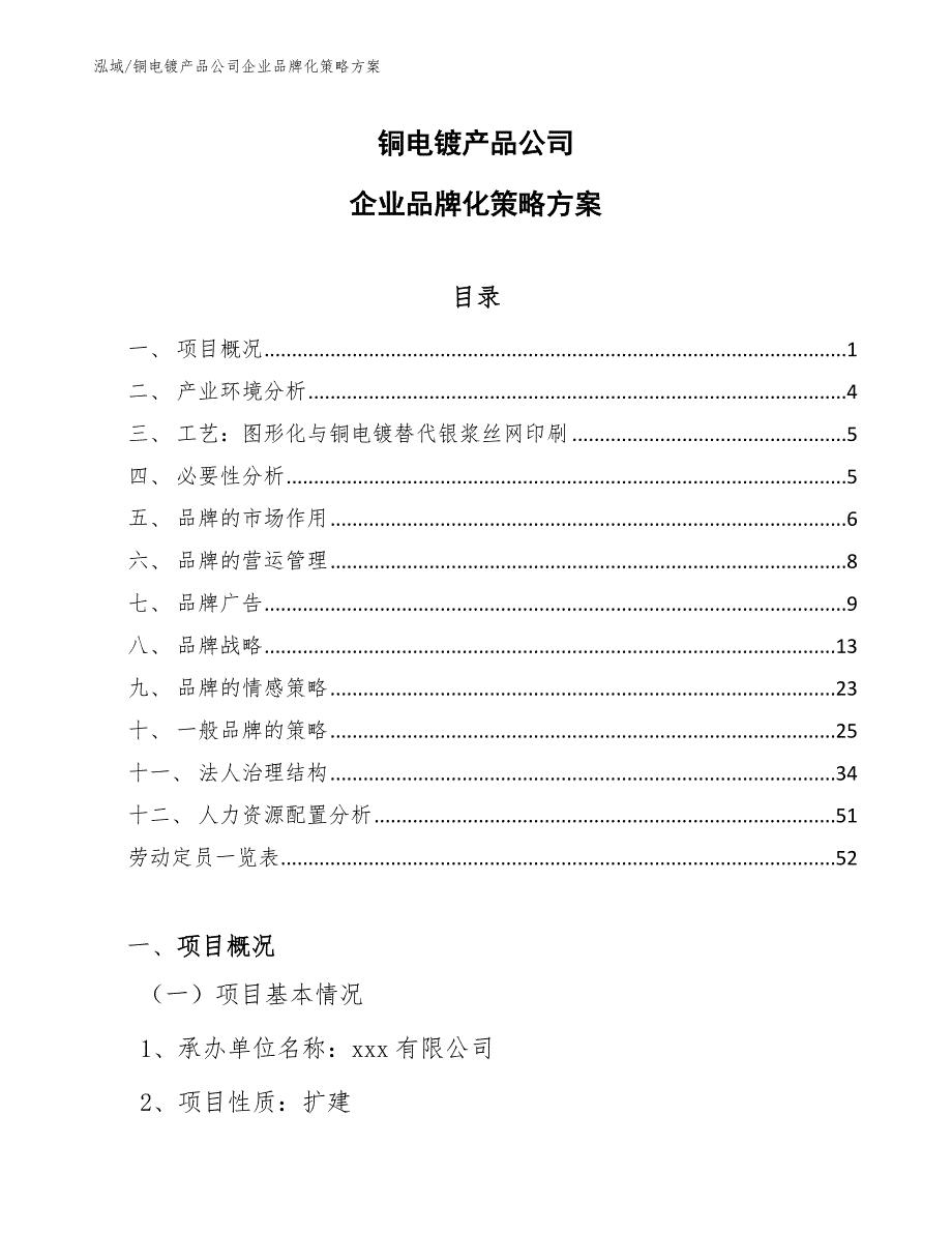 铜电镀产品公司企业品牌化策略方案【参考】_第1页