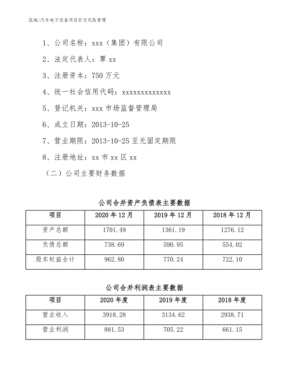 汽车电子设备项目巨灾风险管理（参考）_第2页