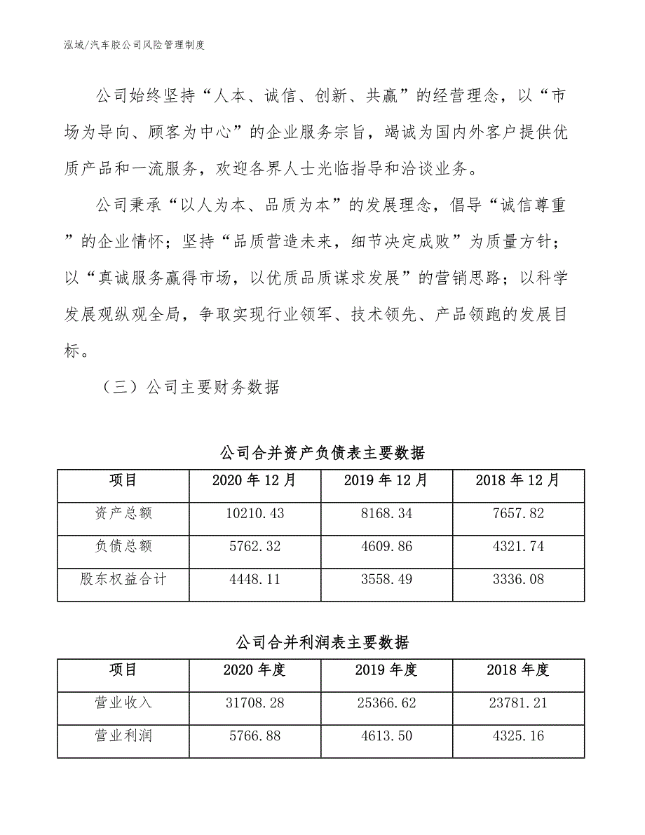 汽车胶公司风险管理制度_第3页