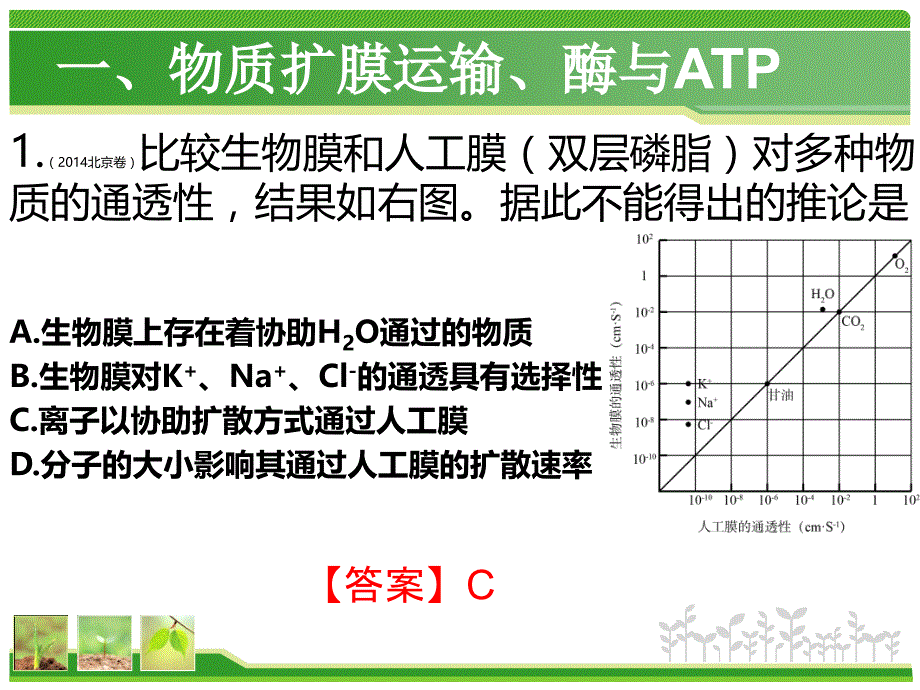 高三生物-细胞代谢专题课件_第4页