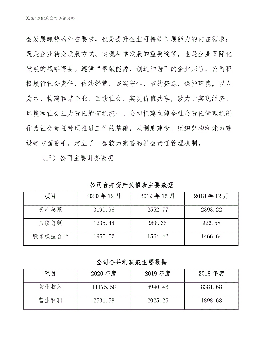 万能胶公司促销策略_第3页