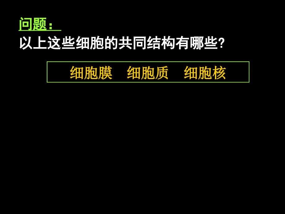 高一生物《细胞的多样性和统一性》ppt课件_第5页