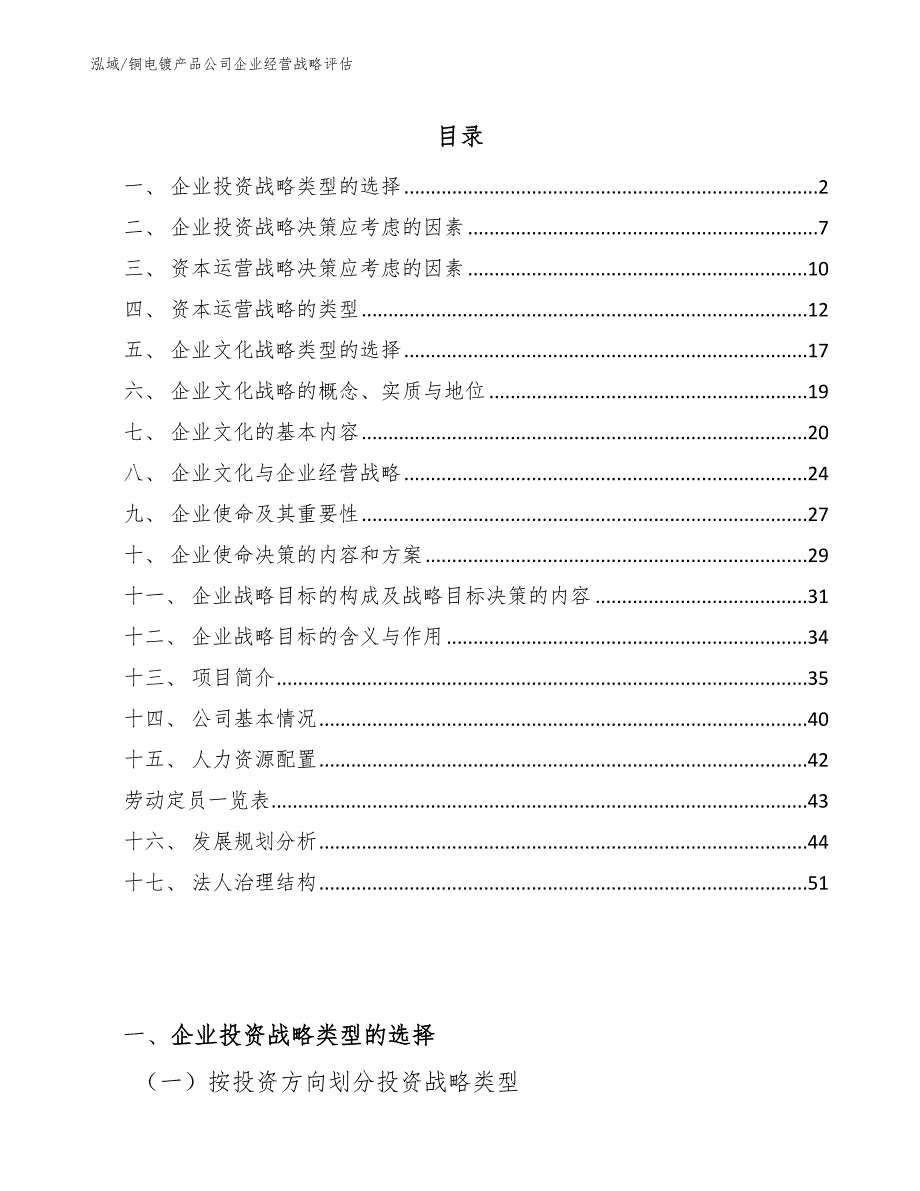 铜电镀产品公司企业经营战略评估（范文）_第2页