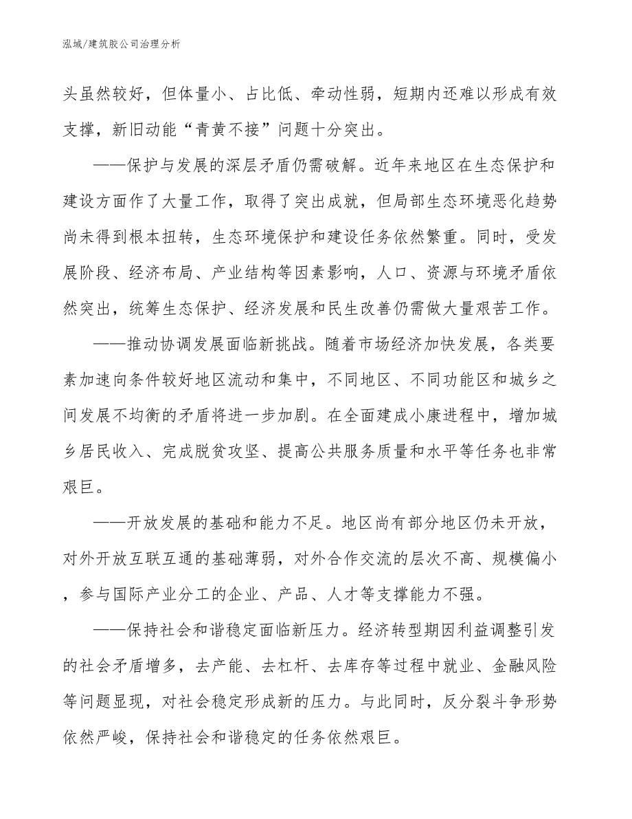 建筑胶公司治理分析_第5页