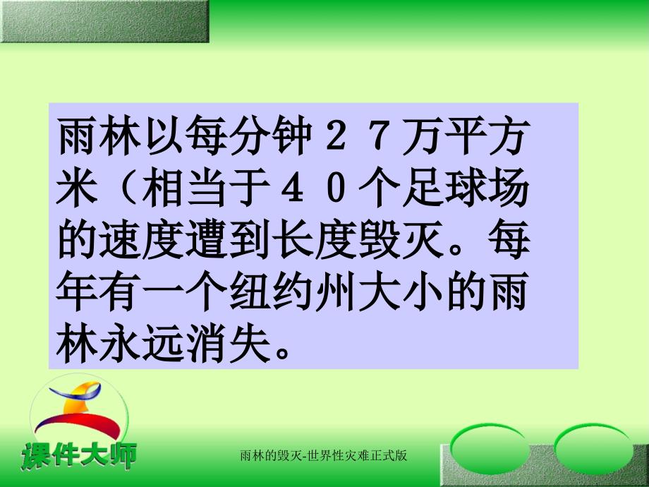 雨林的毁灭世界性灾难正式版课件_第4页