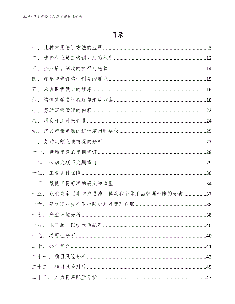 电子胶公司人力资源管理分析_参考_第2页