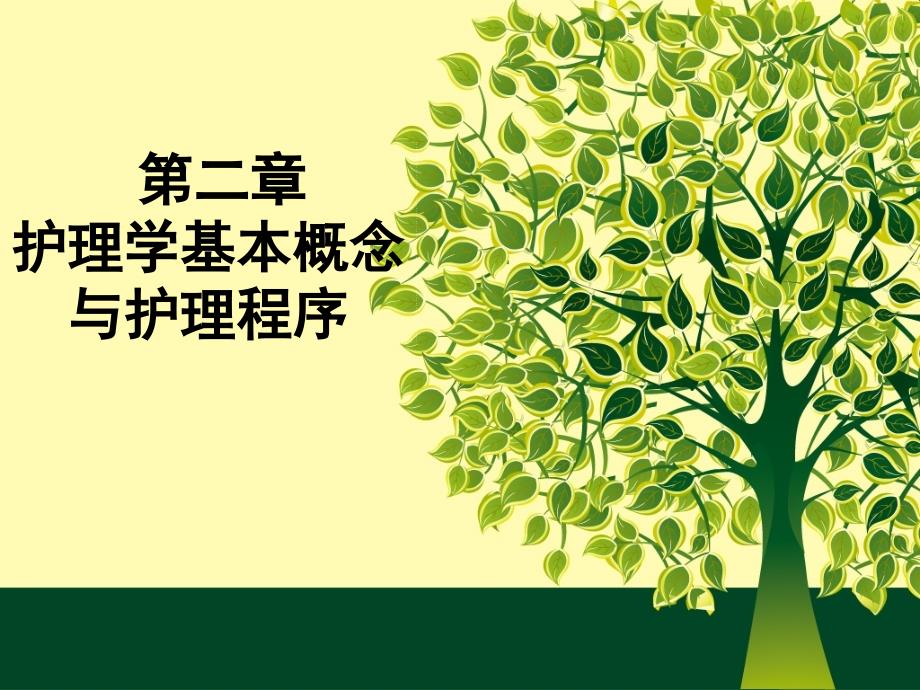 护理学的基本概念PPT精品文档_第1页