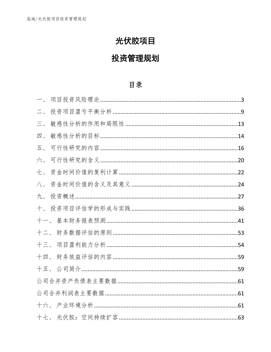 光伏胶项目投资管理规划_第1页