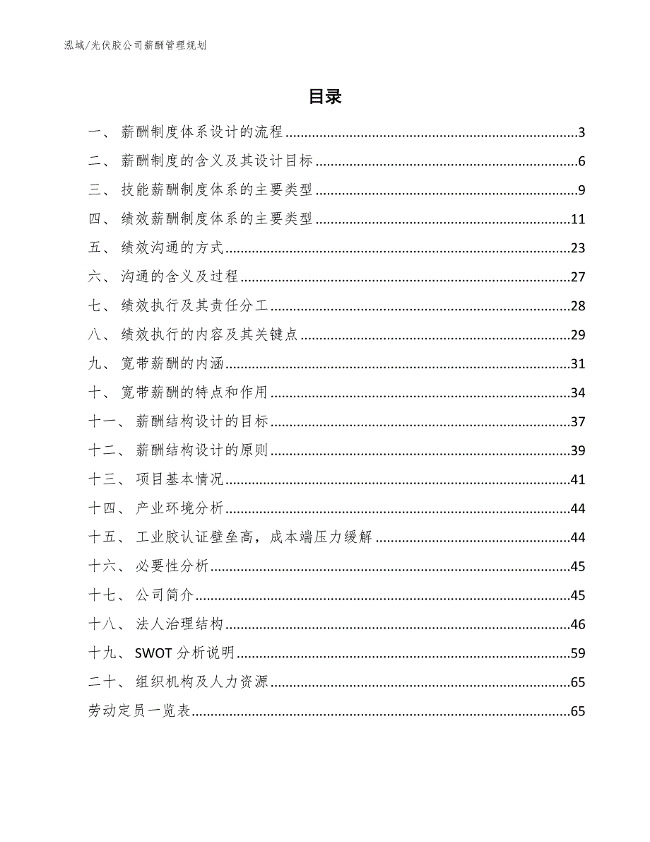 光伏胶公司薪酬管理规划_参考_第2页