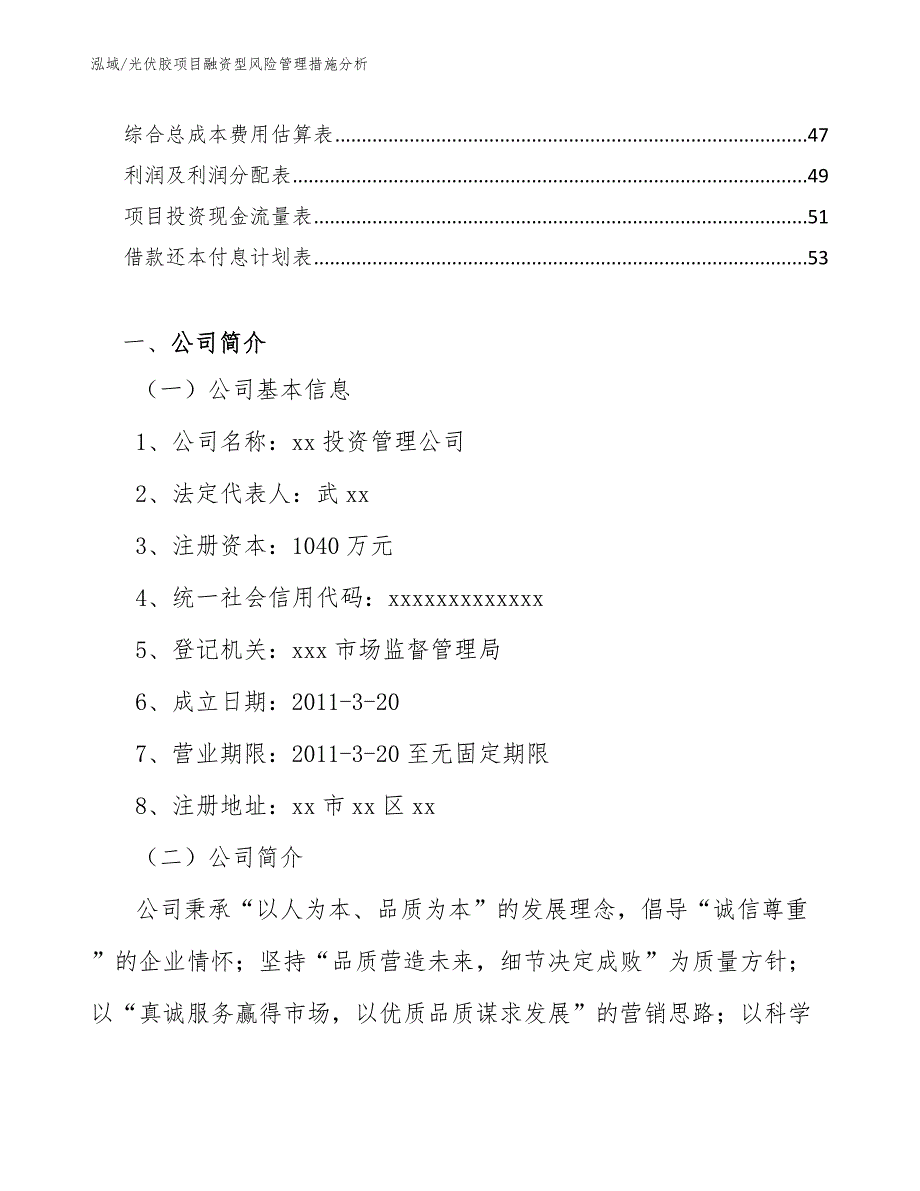 光伏胶项目融资型风险管理措施分析【参考】_第3页