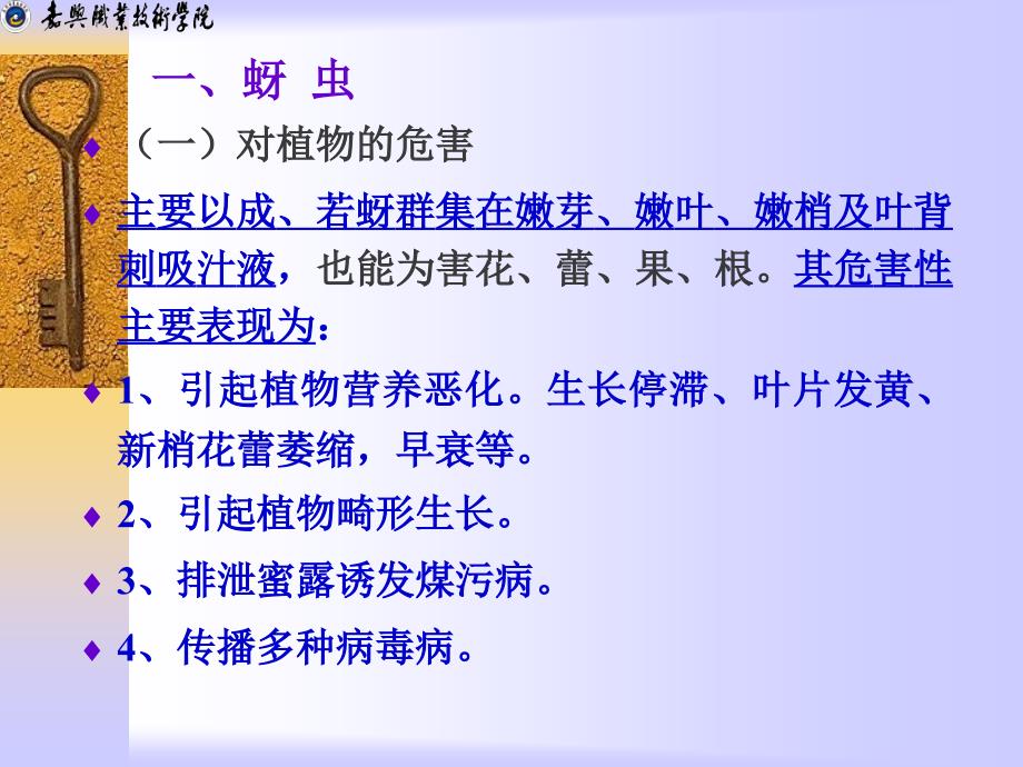 项目三园林植物主要害虫及其防治学习单元二刺吸害虫_第3页