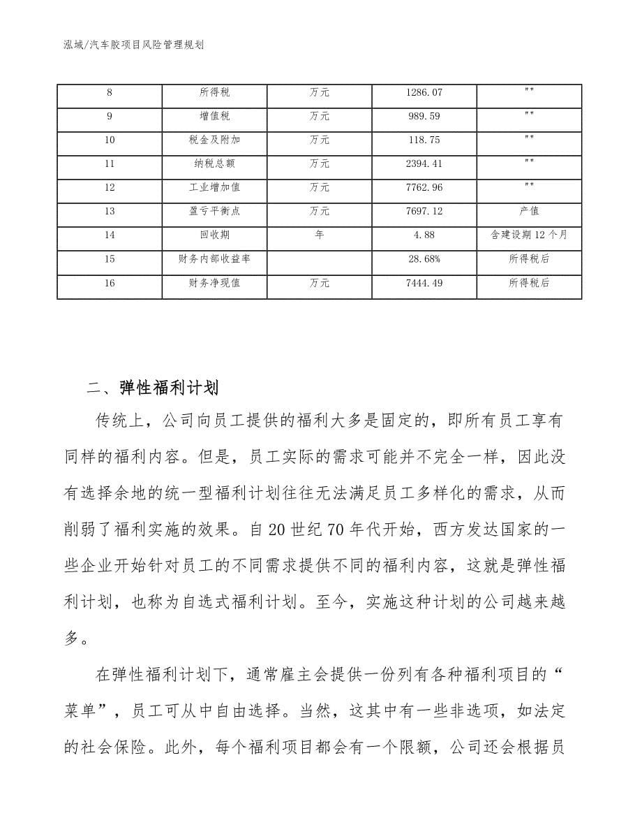 汽车胶项目风险管理规划_第5页