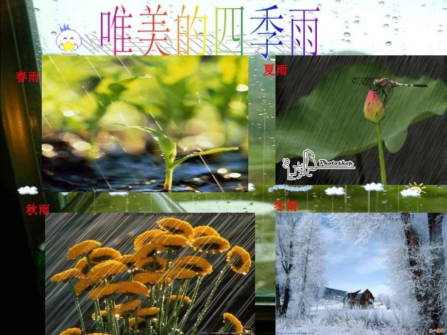 九年级上语文综合性学习雨的诉说_第5页