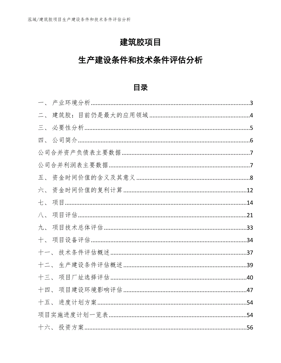 建筑胶项目生产建设条件和技术条件评估分析_参考_第1页