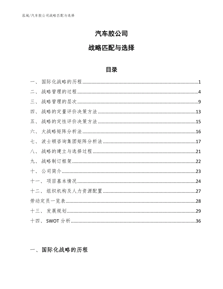 汽车胶公司战略匹配与选择【参考】_第1页