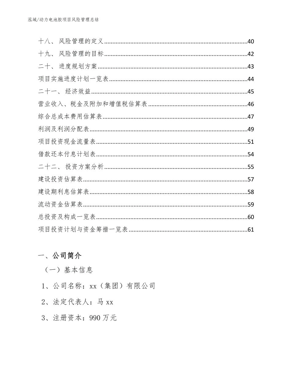 动力电池胶项目风险管理总结_第2页