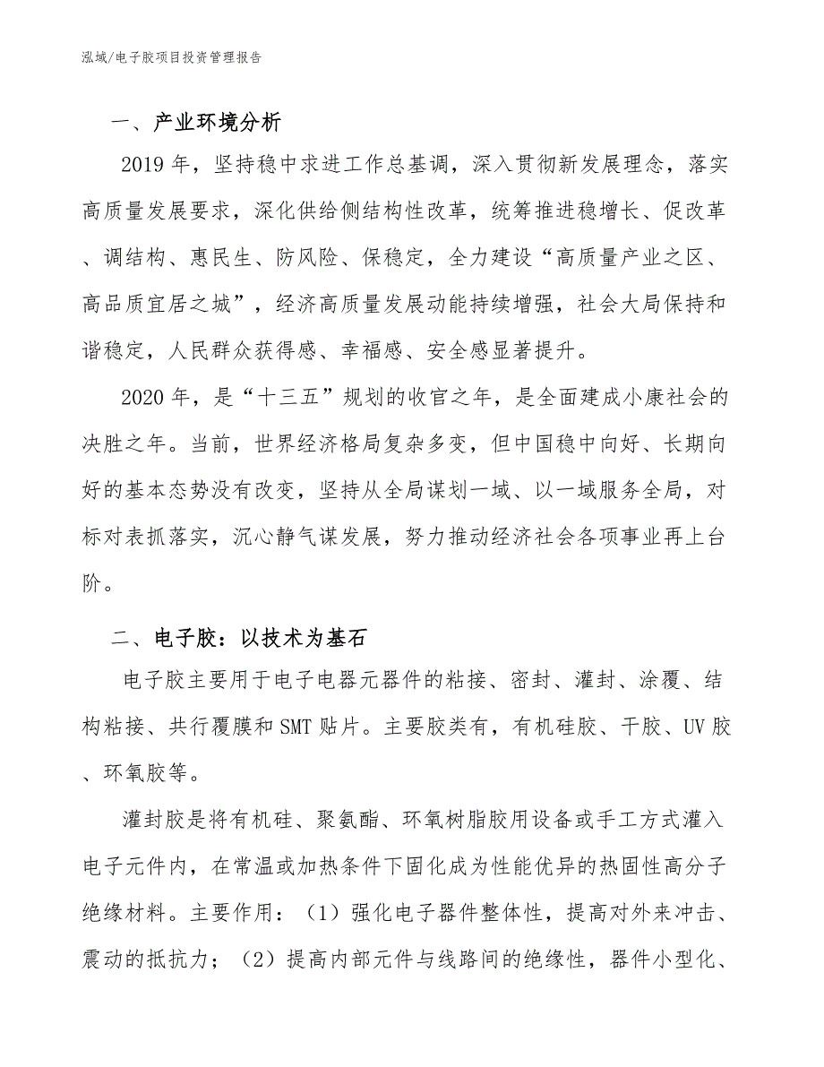 电子胶项目投资管理报告_范文_第3页