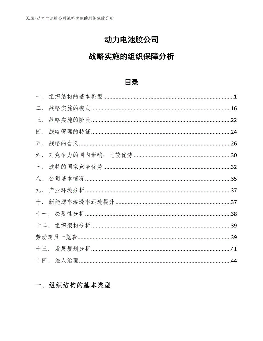 动力电池胶公司战略实施的组织保障分析_第1页