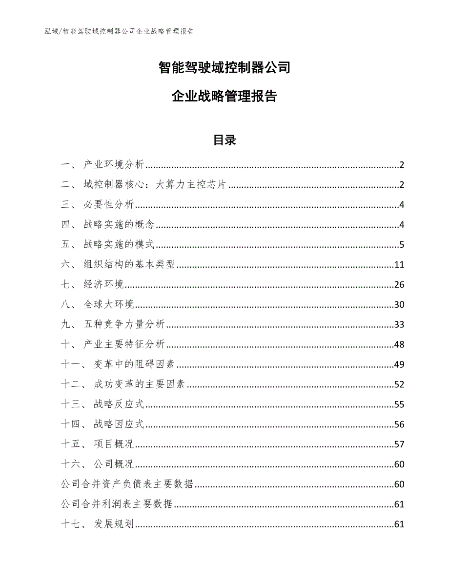 智能驾驶域控制器公司企业战略管理报告_第1页
