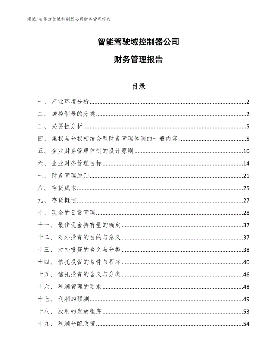 智能驾驶域控制器公司财务管理报告_第1页