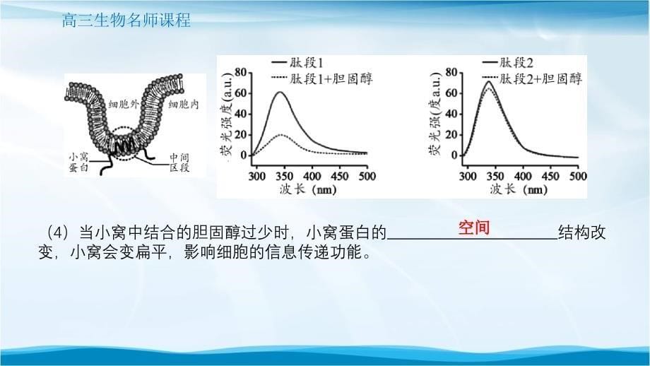 高三生物试卷非选择题讲评课件_第5页