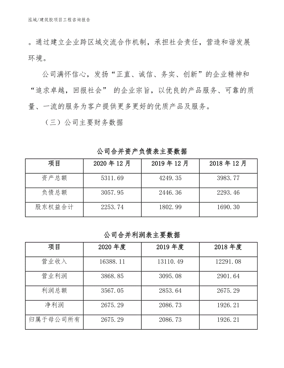 建筑胶项目工程咨询报告【参考】_第4页