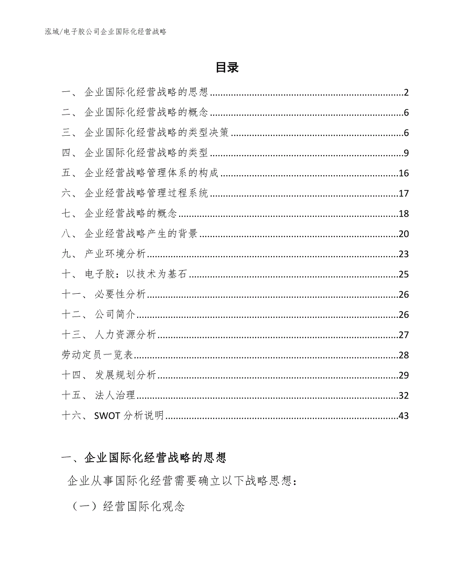 电子胶公司企业国际化经营战略（范文）_第2页