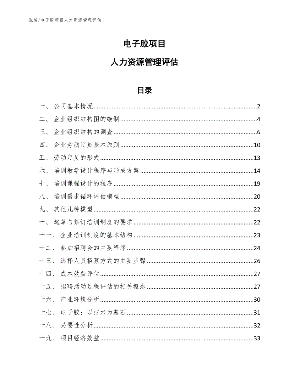 电子胶项目人力资源管理评估_范文_第1页