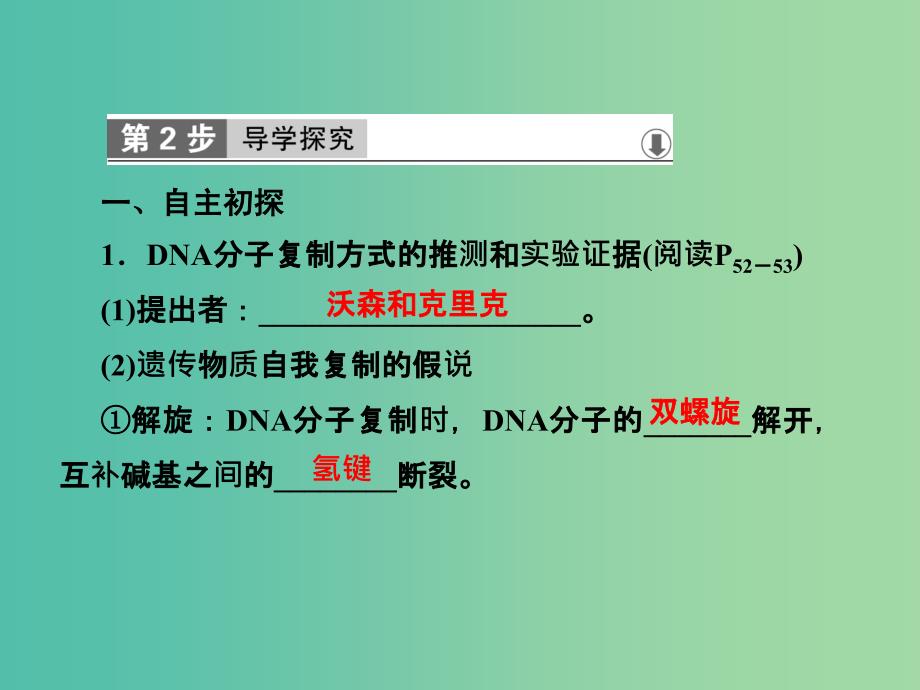 高中生物第三章基因的本质第3节DNA的复制第4节基因是有遗传效应的DNA片段课件新人教版.ppt_第4页