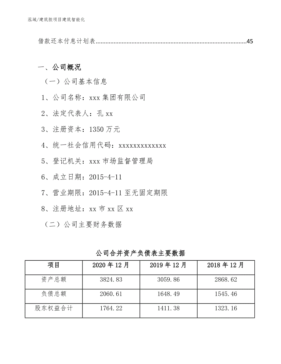 建筑胶项目建筑智能化（范文）_第2页