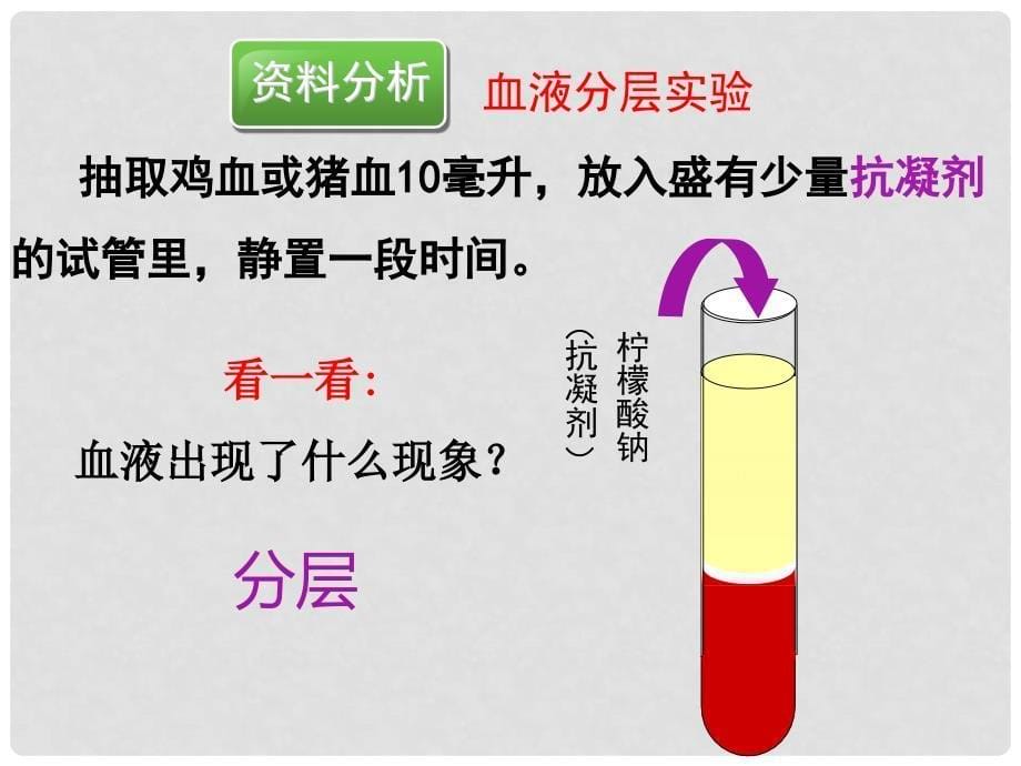 广东省台山市新宁中学七年级生物下册 第四单元 第四章 第一节 流动的组织血液课件 （新版）新人教版_第5页