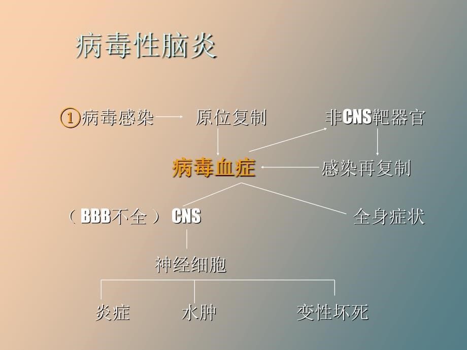 小儿惊厥讲座_第5页