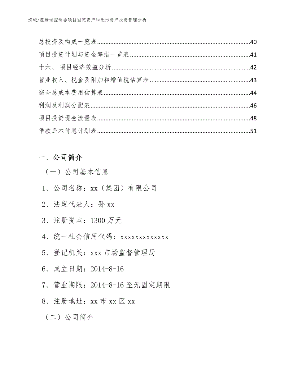 座舱域控制器项目固定资产和无形资产投资管理分析（范文）_第2页