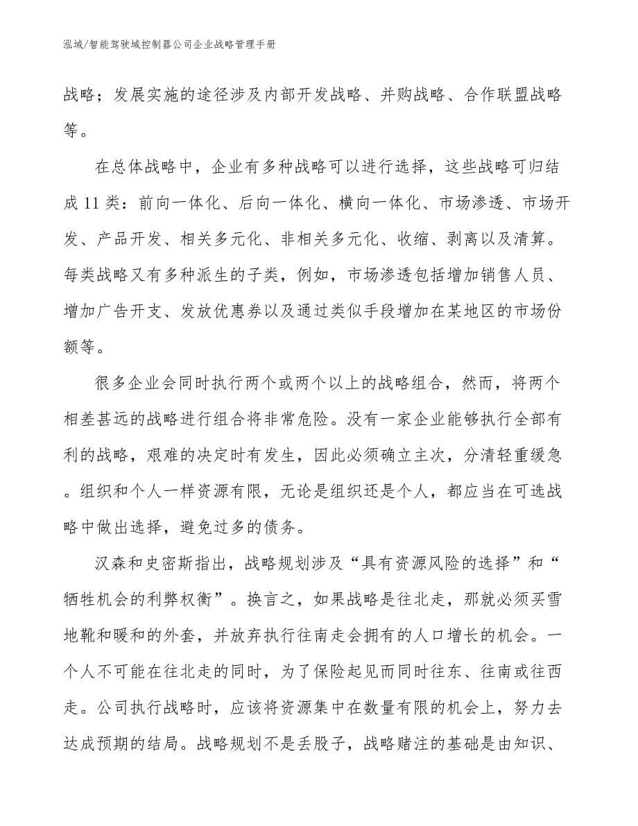 智能驾驶域控制器公司企业战略管理手册_参考_第5页