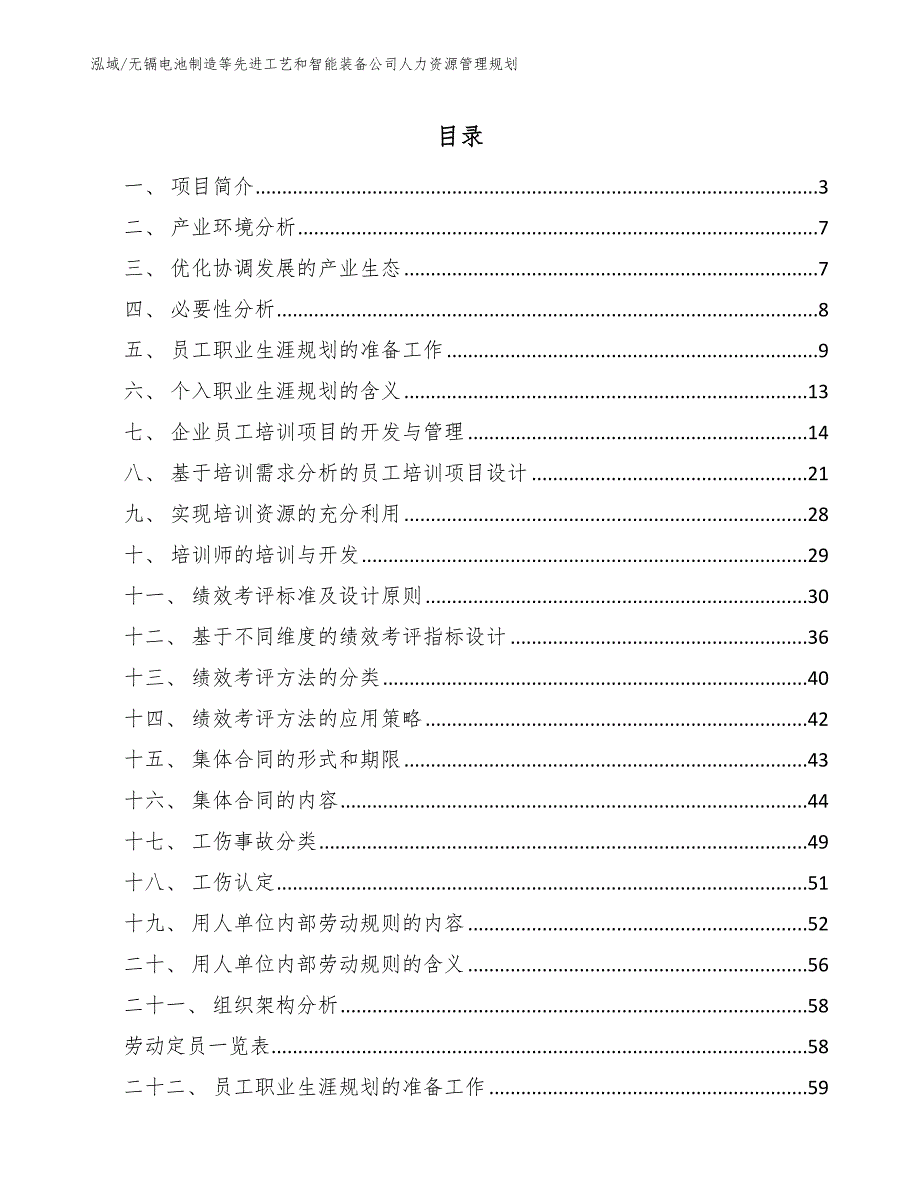 无镉电池制造等先进工艺和智能装备公司人力资源管理规划【范文】_第2页