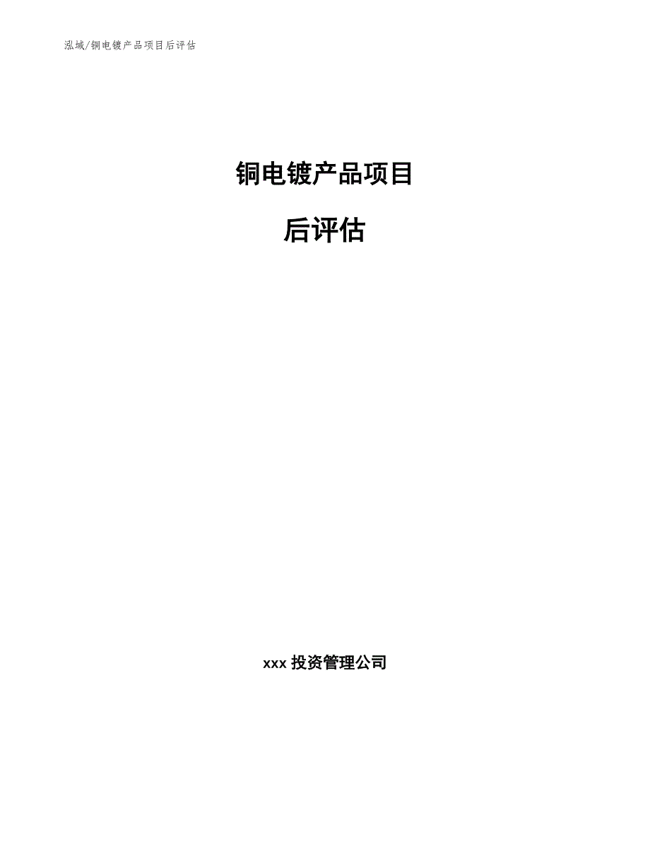 铜电镀产品项目后评估（参考）_第1页