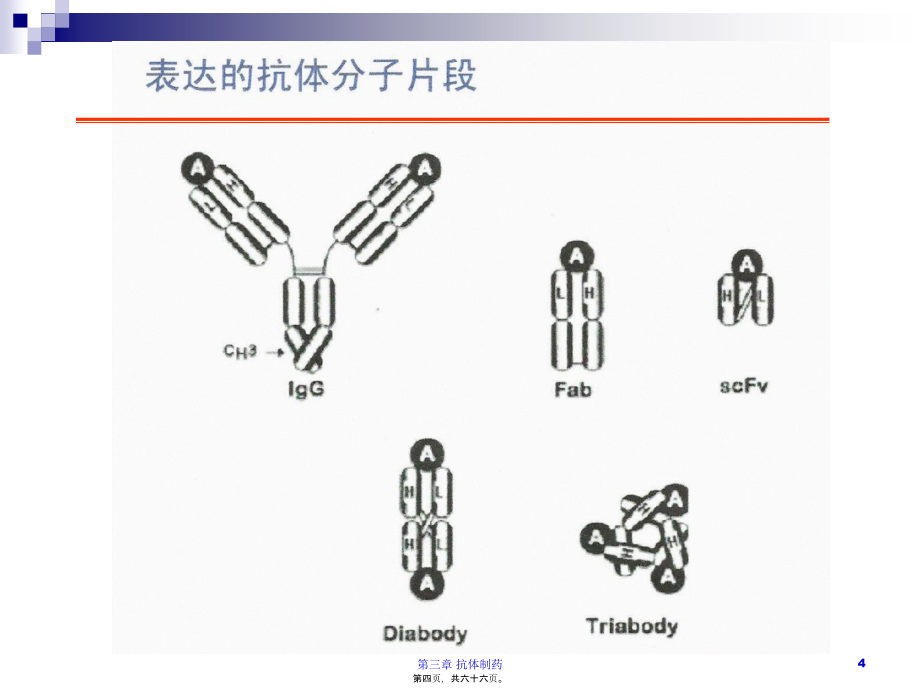 6第三章-抗体制药(二)_第4页