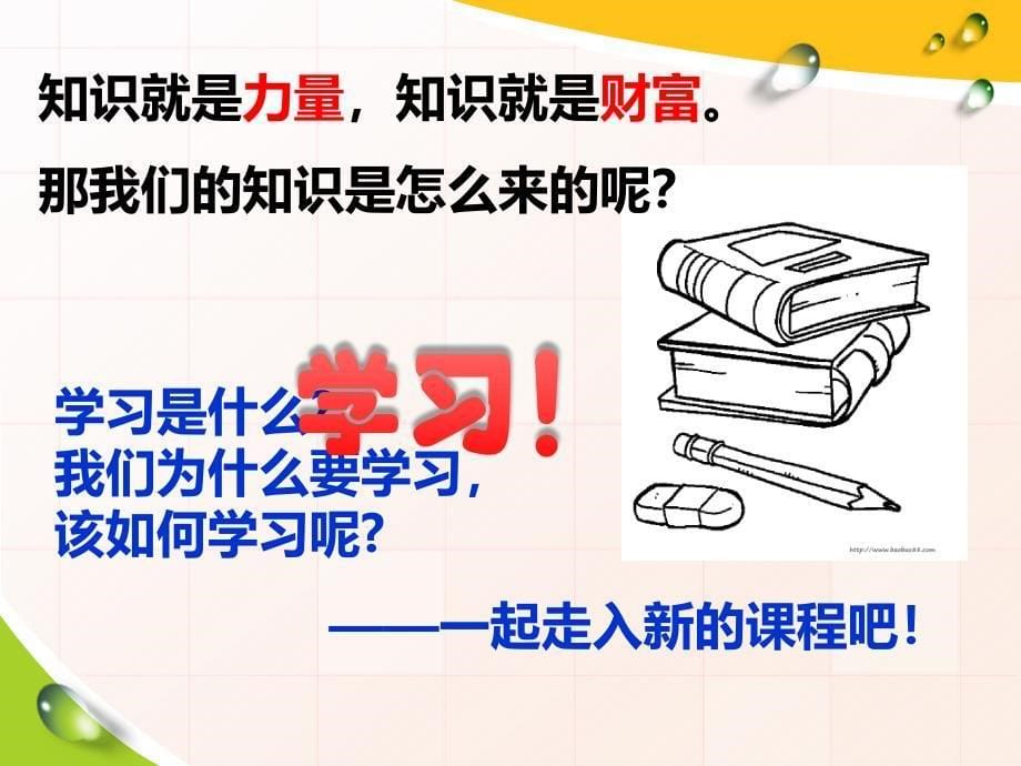 初一41培养正确学习观念(全课时)_第5页