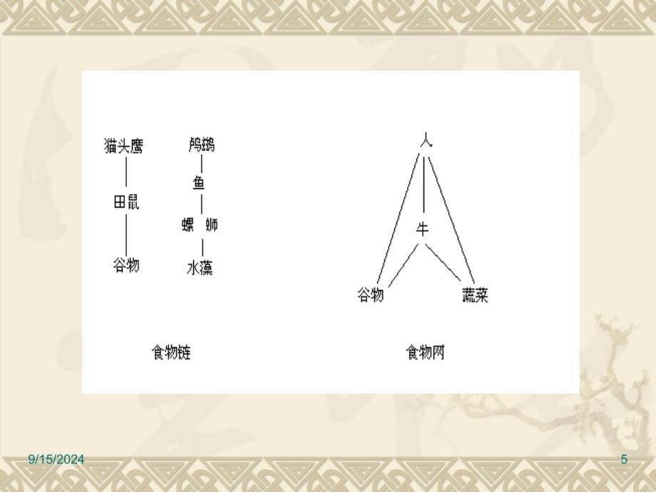 人类的适应性与健康_第5页