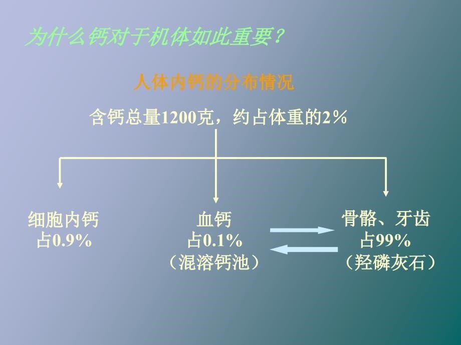 矿宝与矿物质_第5页