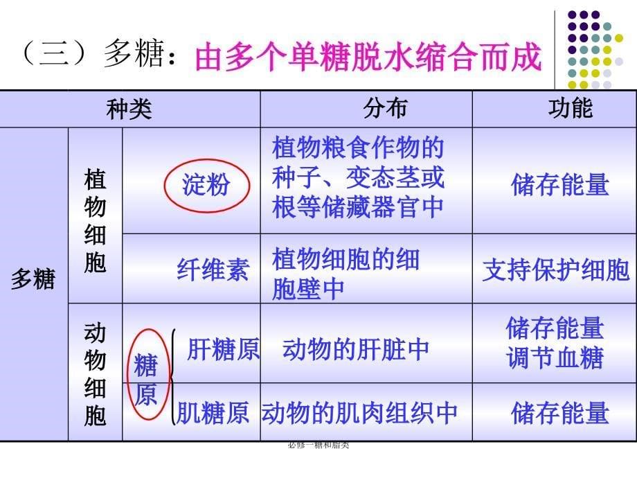 必修一糖和脂类课件_第5页