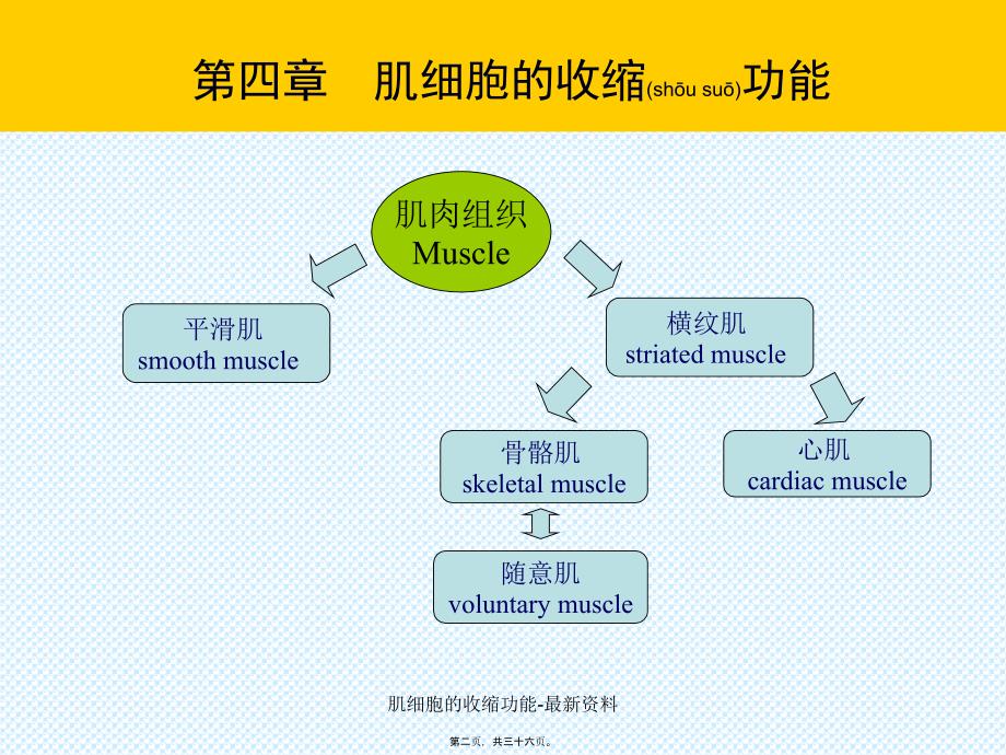 肌细胞的收缩功能-资料课件_第2页