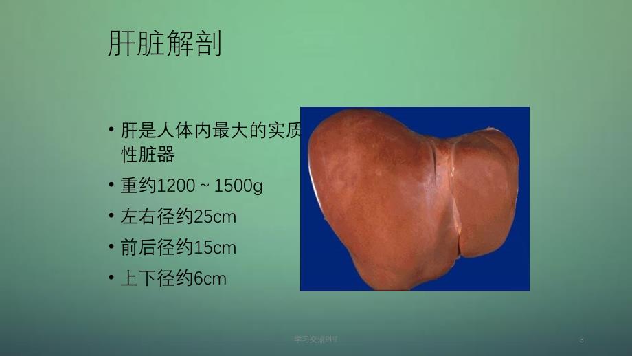 肝脏疾病课件ppt课件_第3页