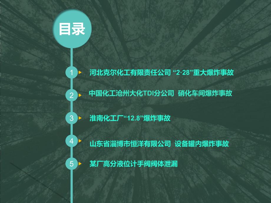 安全事故案例分析自动保存的课件_第2页