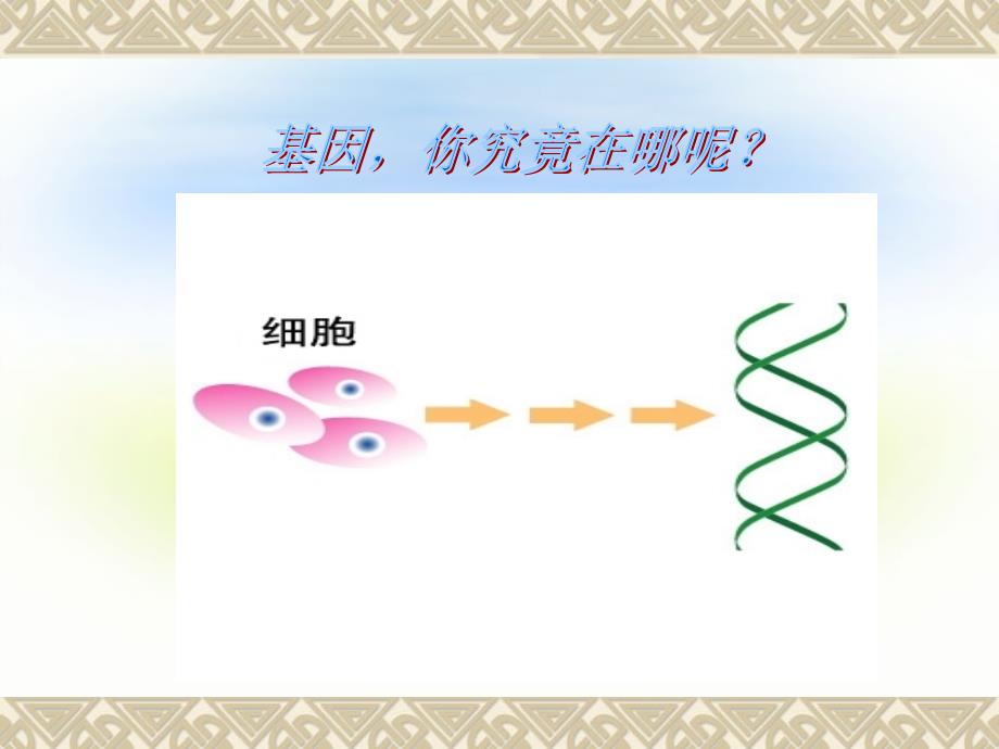 生物精品竞赛课件：2.2基因在染色体上(新人教版必修2)_第2页