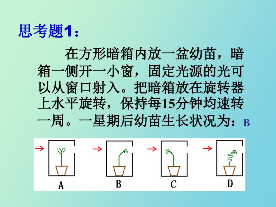 生长素的生理作用成熟版_第2页