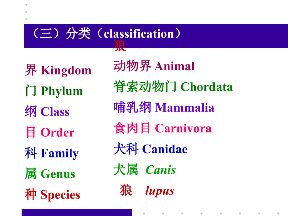 一节动物的分类和系统发生_第4页