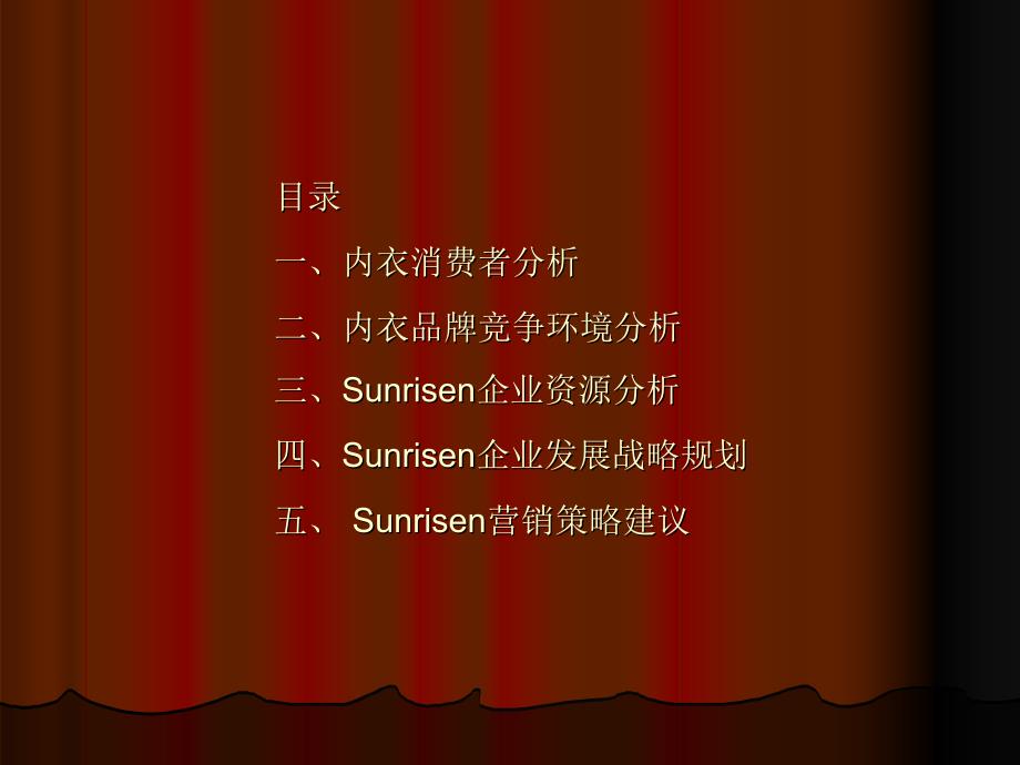 sunrisen品牌战略规划及营销策略_第2页