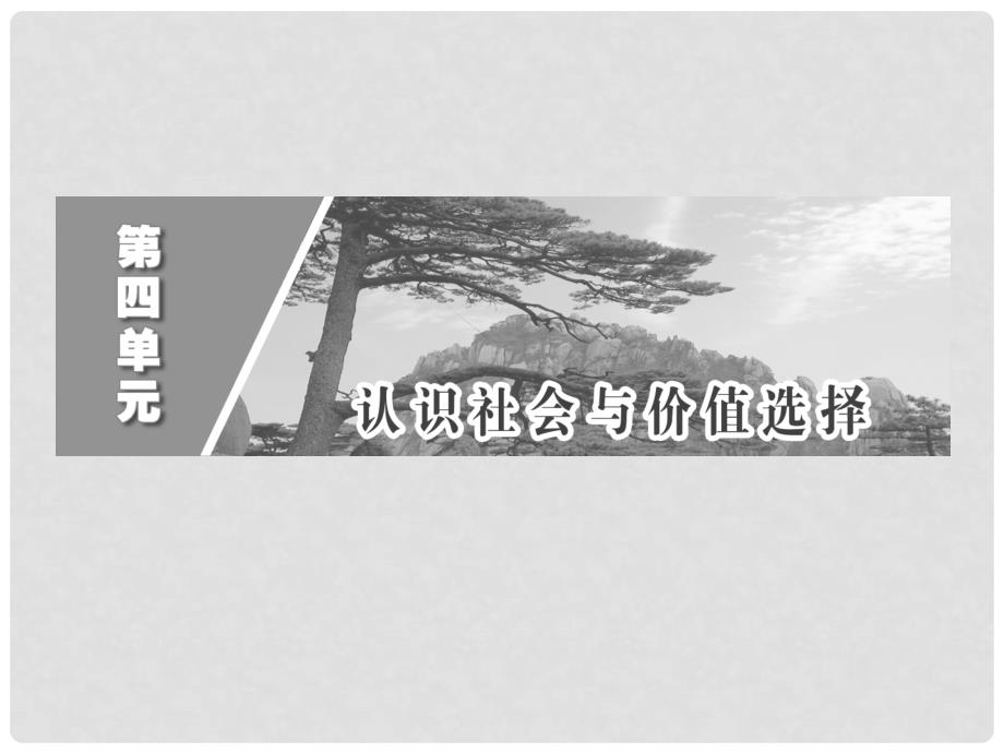 高中政治 第1部分 第四单元 综合探究及单元归纳课件 新人教版必修4_第2页