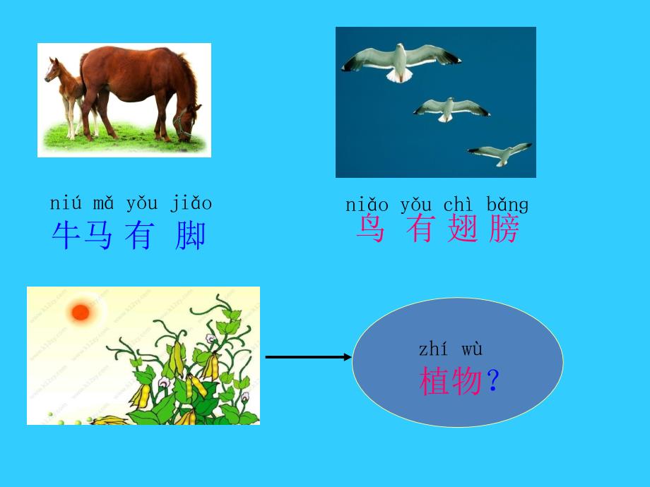 《植物妈妈有办法》课件_第4页